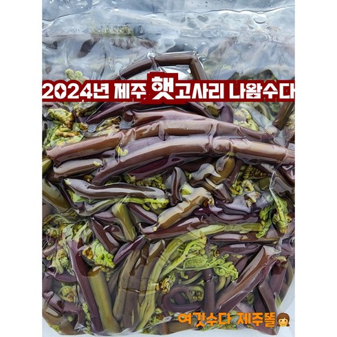 제주 급냉 생고사리 1kg 2팩, 2개