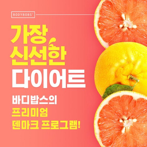 바디밥스 2주 덴마크 다이어트 프로그램 다이어트 정기배송 단기 식단, 2주 실속상품