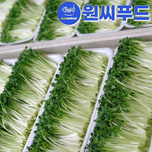 [산지직송]싱싱하고 깨끗한 무순 750g(150gX5팩) GAP인증 영양소 많은 신선한 무순, 5개