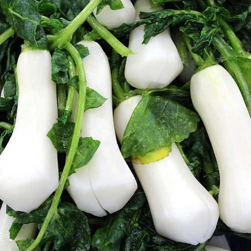 [전라김치] 손질된 토실토실한 절임알타리무 2kg, 1