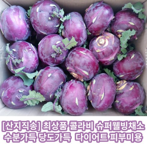 [산지직송] 최상품 콜라비 슈퍼웰빙채소 수분가득 당도가득 못난이 콜라비 혈관건강 다이어트식 피부미용 면역기능 미네랄풍부 겨울철음식 콜라비요리 제철콜라비 [원산지:국산(제주특별시)], 1개, 10kg(14개내외)