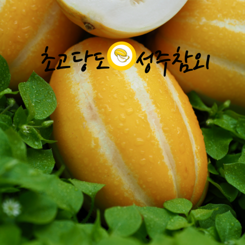 성주참외 당도보장 고당도 못난이 가정용, 1개, 가정용 대과 1kg