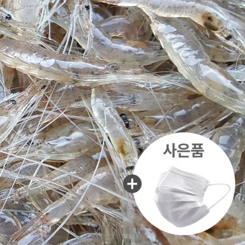 국내산 민물새우 1kg/아빠가 조업한 자연산(탕 튀김 깡 육수 김장용), 1개, 1kg
