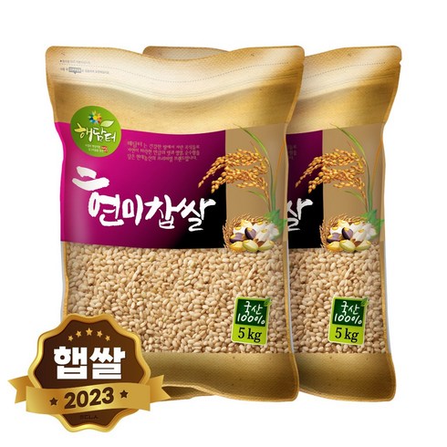 현대농산 국산 현미찹쌀 찰현미 10kg (5kgX2봉), 5kg, 2개