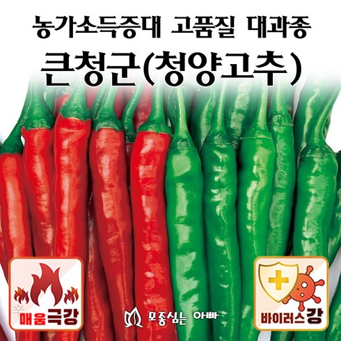 청양패스 - [모종심는아빠] 피피에스 큰청군 청양고추 종자 1200립 500립, 1개