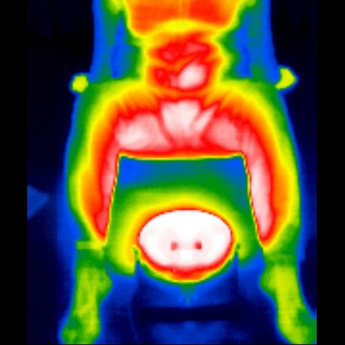 질염전용건조기 - 템페라스 질온관리기 건식 좌욕기, 체온관리기기, 1개
