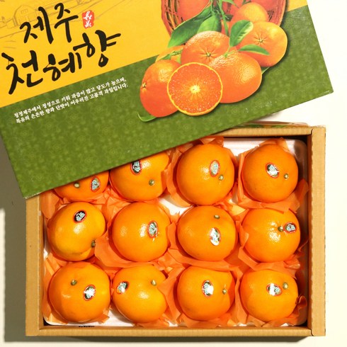 천혜향 TOP01