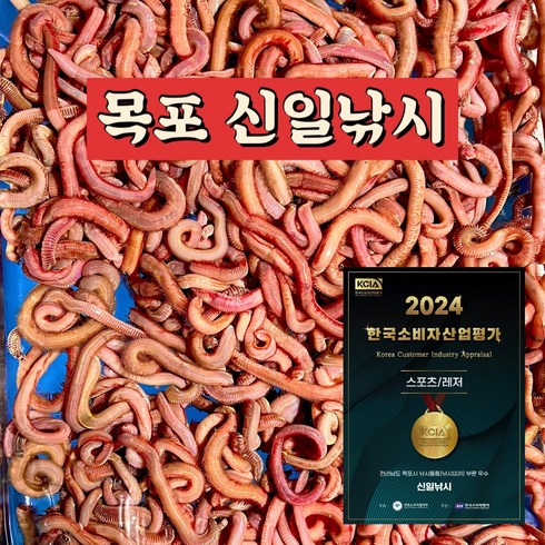 개불미끼 - 목포 신일낚시/국산 참갯지렁이/홍거시/혼무시/집거시/청거시, 청거시 200g, 1개