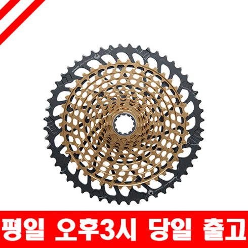 sram TOP01