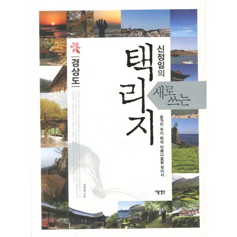 새로쓰는 택리지: 경상도:숨겨진 우리 땅의 아름다움을 찾아서, 다음생각, 신정일