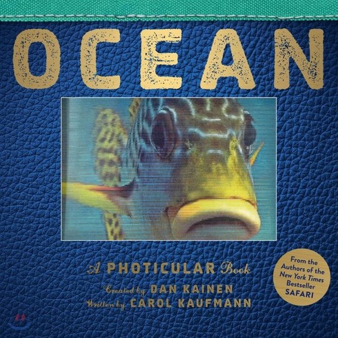 Ocean: A Photicular Book, Workman Pub Co