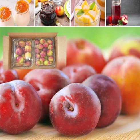 2023년 가성비 최고 천도복숭아 - 새콤달콤 경산 천도복숭아 경북 의성 자두 세트 다이어트 선물용 제철과일, 상세페이지 참조, 상세페이지 참조, 상세페이지 참조