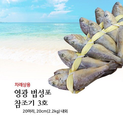 영광 법성포 3호 참조기 20마리 20cm (2.2kg) 내외 국산 영광굴비 보리굴비 택배 차례상용 전통 부세보리굴비 효도선물 감사선물 명품 명절선물 서해의 햇살 바람 바다를 담은, 1개