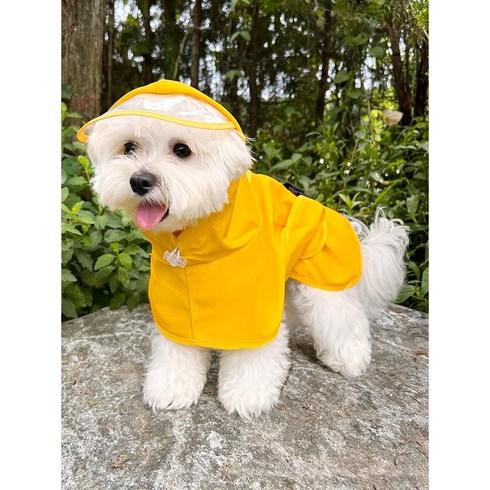 편한리빙 강아지 우비 레인코트, 레몬 옐로우