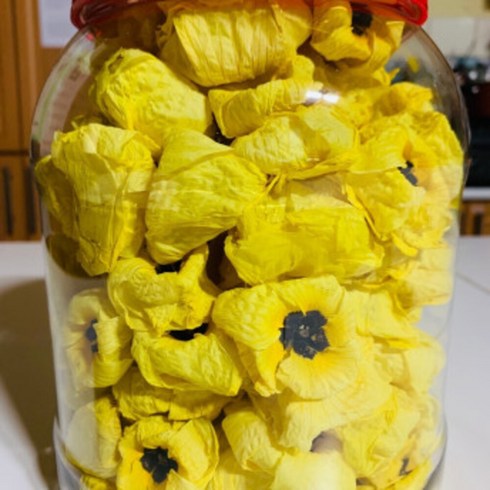 금화규 꽃차 약100송이30g 국내산 향메김 꽃차 천연콜라겐 [원산지:국산(강원도 홍천군)], 30g, 1개, 100개