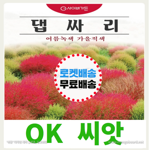 댑싸리 - [OK씨앗] [댑싸리] 댑싸리 코키아꽃씨앗 종자(오케이씨앗), 1개