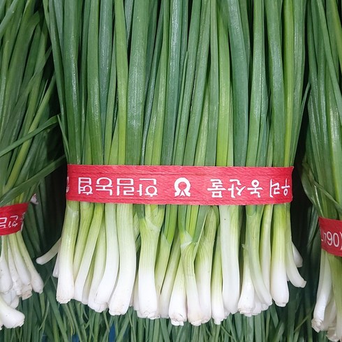 노지 햇 쪽파 깐쪽파 실파 손질쪽파, 1단, 1kg