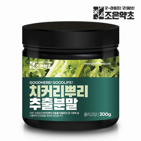 치커리분말 - 치커리 뿌리 추출물 100% 분말 가루 300g, 1개