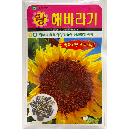 해바라기씨의모험 - 왕해바라기씨앗100립(중포장), 1개