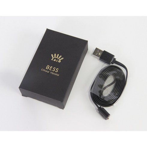 잘로 충전 케이블 ZALO BESS KING HERO QUEEN 호환, BESS CABLE, 1개