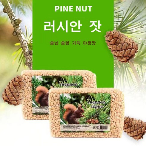 러시아산 솔닙 솔향 가득 야생잣, 2개, 500g