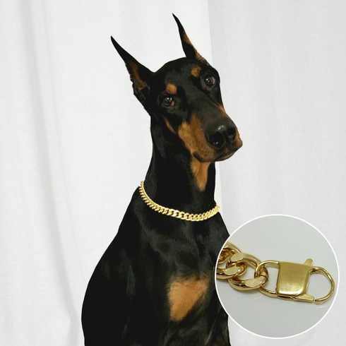 2023년 가성비 최고 노르디카도베르만스핏파이어 - 강아지금목걸이 프렌치불독 도베르만 대형견 고양이 강아지목걸이