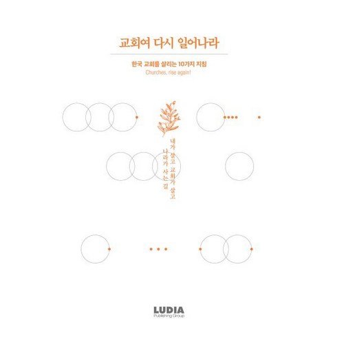 교회여다시일어나라 - 교회여 다시 일어나라:한국 교회를 살리는 10가지 지침, 루디아