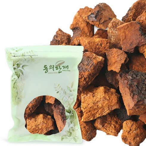 차가버섯균사체 - 동의한재 최상품 시베리아 러시아 차가버섯, 1kg, 1개