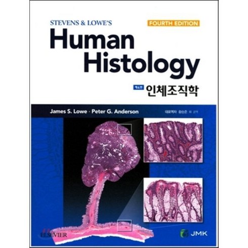 인체조직학 Human Histology, JMK