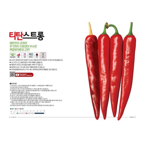 청양패스 - 2023 고추종자 팜한농 티탄빅히트 1200립 + 뿌리나원500ml 세트, 1200립+뿌리나원500ml, 1세트