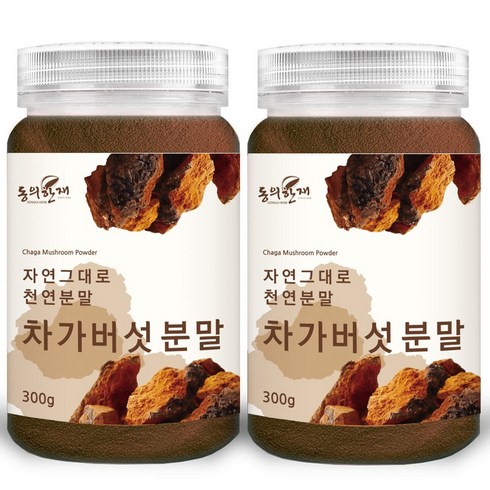 차가버섯분말 - 동의한재 최상품 러시아 차가버섯 분말 가루, 2개, 300g