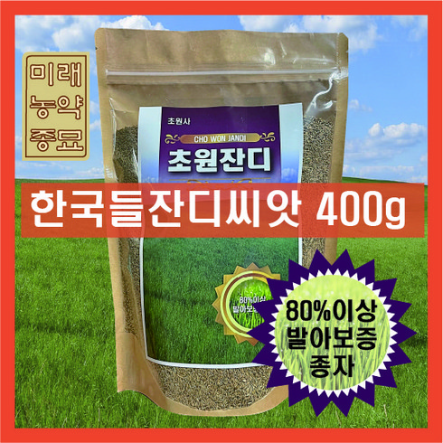 잔디씨 - 잔디씨앗 한국들잔디 400g 산소 정원 묘지 잔디씨, 1개