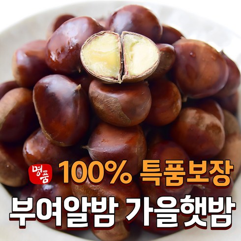 밤 - [특선별] 2024 햇밤 국산 부여 알밤 생 왕밤, 1개, 1kg