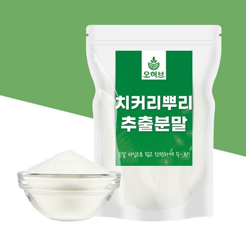 치커리분말 - 대용량 치커리 뿌리 추출물 가루 분말 500g, 1개