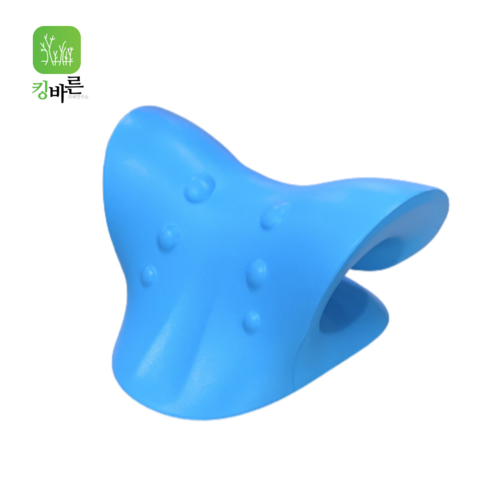 킹바른바디연구소 넥스트레쳐 목스트레칭기구 넥스트레처, 블루, 1개