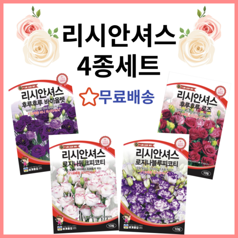 세계종묘 리시안셔스 씨앗 4종 세트 예쁜 고급 꽃씨앗 모음