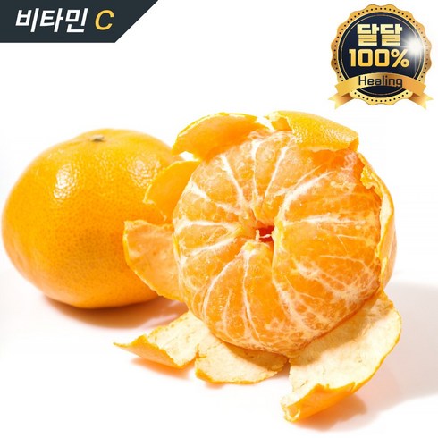 달콤한 제주 천혜향 산지 직송 설 명절 선물세트, 프리미엄 선물세트3kg, 1박스, 소과