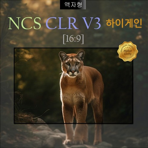 [NCS] 엔씨에스 (DCS) PREMIUM CLR V3 하이게인 광학 액자형 110인치 스크린