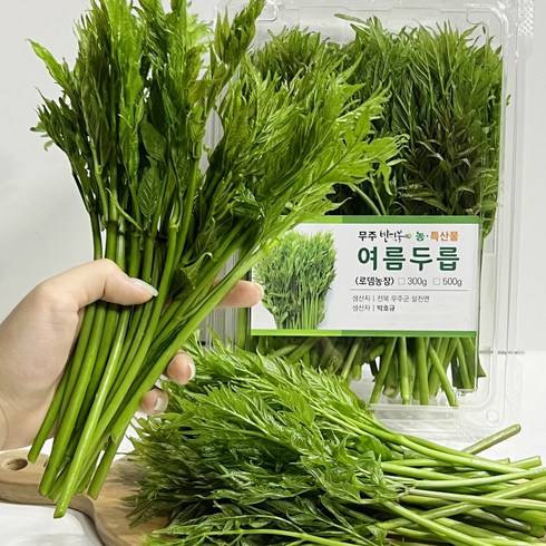 2024 무주 고산지 햇 여름두릅 산지직송 햇두릅, 1kg, 1개