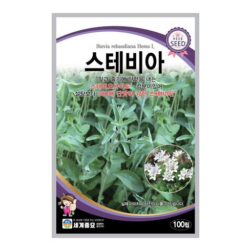스테비아모종 - 모칸도 세계 허브씨앗 스테비아 100립, 1개
