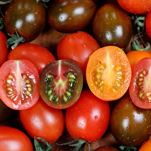 오색 칵테일 토마토 5kg - 대추방울토마토5kg2kg 오색칵테일토마토, 알록이대추방울토마토_3kg, 1개