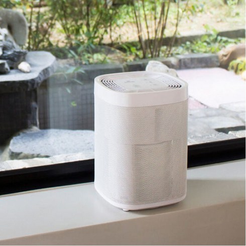 디셈 에어파인더 필터식 공기청정기 DAP-01, DAP-01 에어파인더 화이트