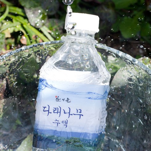 다래수액 다래나무 국내산 자연야생 직접채취, 20개, 500ml