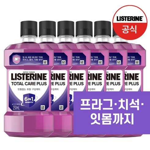 리스테린 토탈케어 플러스 구강청결제, 250ml, 6개