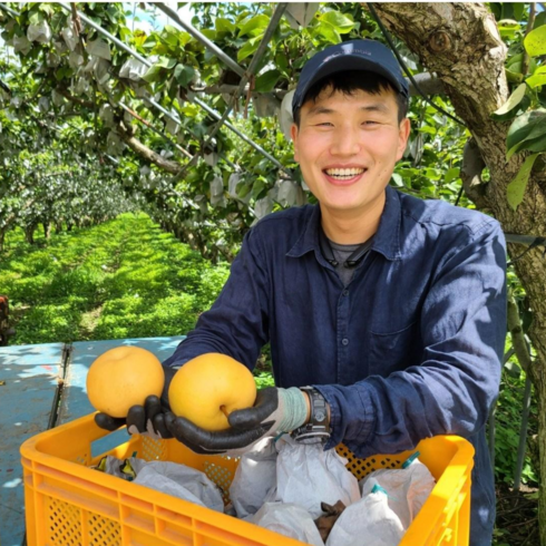 (배 농사만 30년 ) 하동배 원황배 추황배 못난이 배 화산배 신고배 신화배 먹골배 성환배, 중 (14-16과), 1개