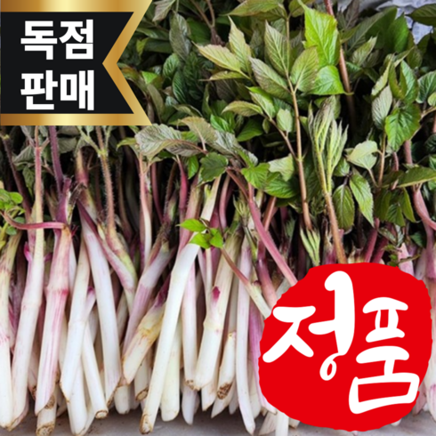 [S급품질] 쌉싸름하고 향긋한 24년산 땅 두릅, 1박스, 1kg