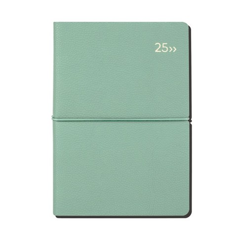 2025다이어리pdf - 2025 다이어리 날짜형 위클리 주간식 다이어리 B6 디커버다이어리 DV PRO1, 민트