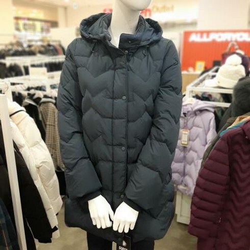 올포유 sh06 겨울 여성 슬림핏구스다운 ALDJLA131804