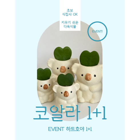 귀여운화분 - 코알라화분1+1 하트호야1+1 귀여운화분 동물화분, 2개