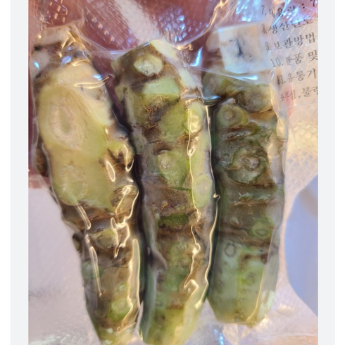 생 와사비 고추냉이 뿌리 2뿌리 [원산지:중국] 생와사비 면연력좋아지는채소 기억력개선 맛있는생와사비뿌리 초밥용 깔끔한맛, 1개